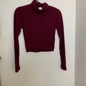 Long sleeve turtleneck crop top shirt